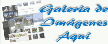 Galer&iacute;a de Im&aacute;genes