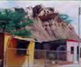 Biblioteca Popular de Sismología Venezolana