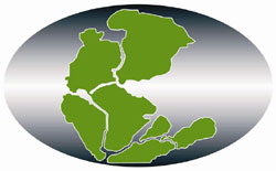 glosario pangea